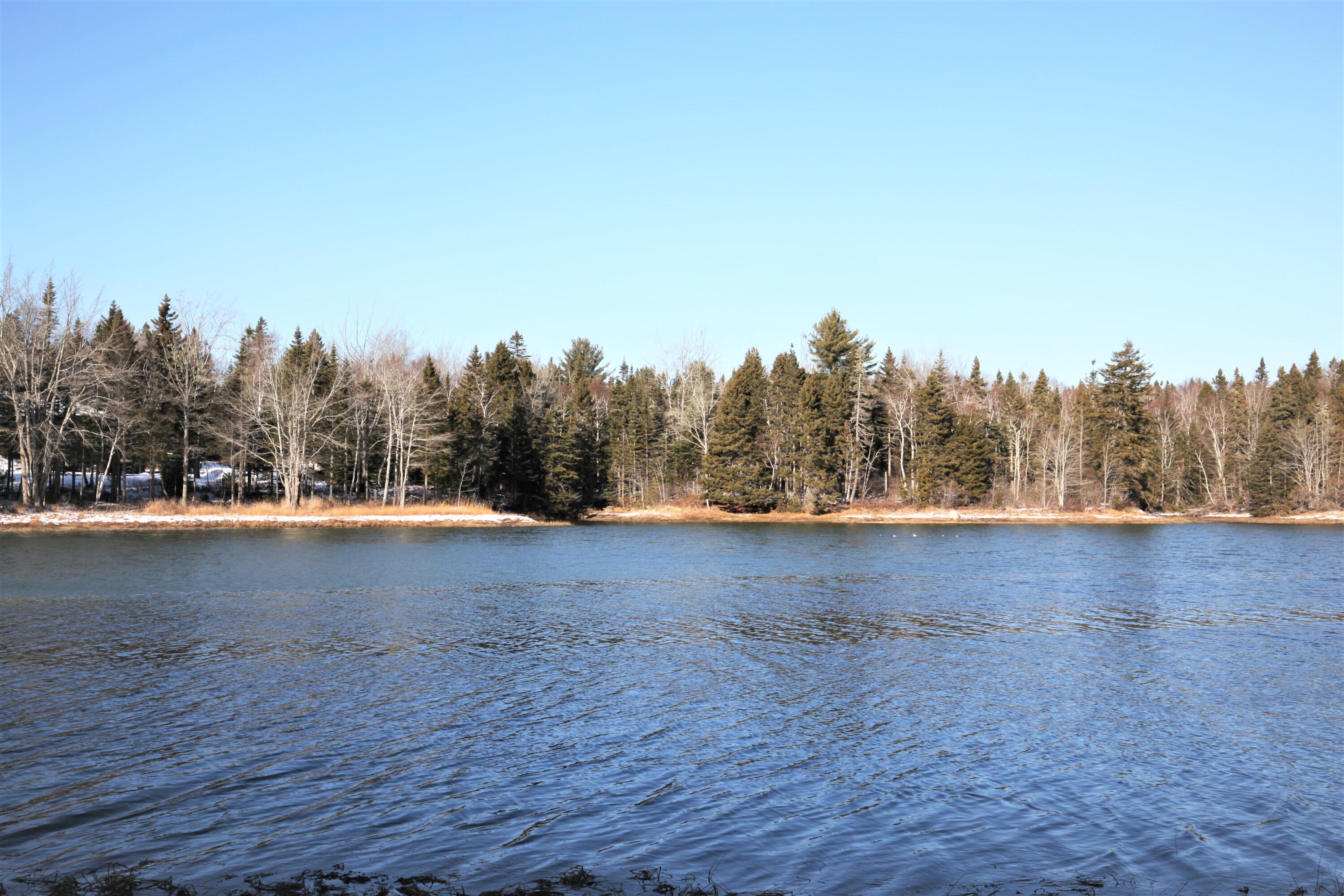 373 Tom Leighton Point Road Milbridge ME 04658