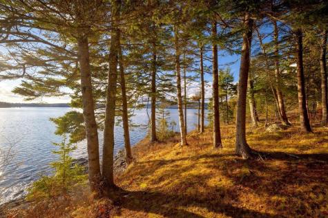 13 Smallidge Point Road Mount Desert ME 04662