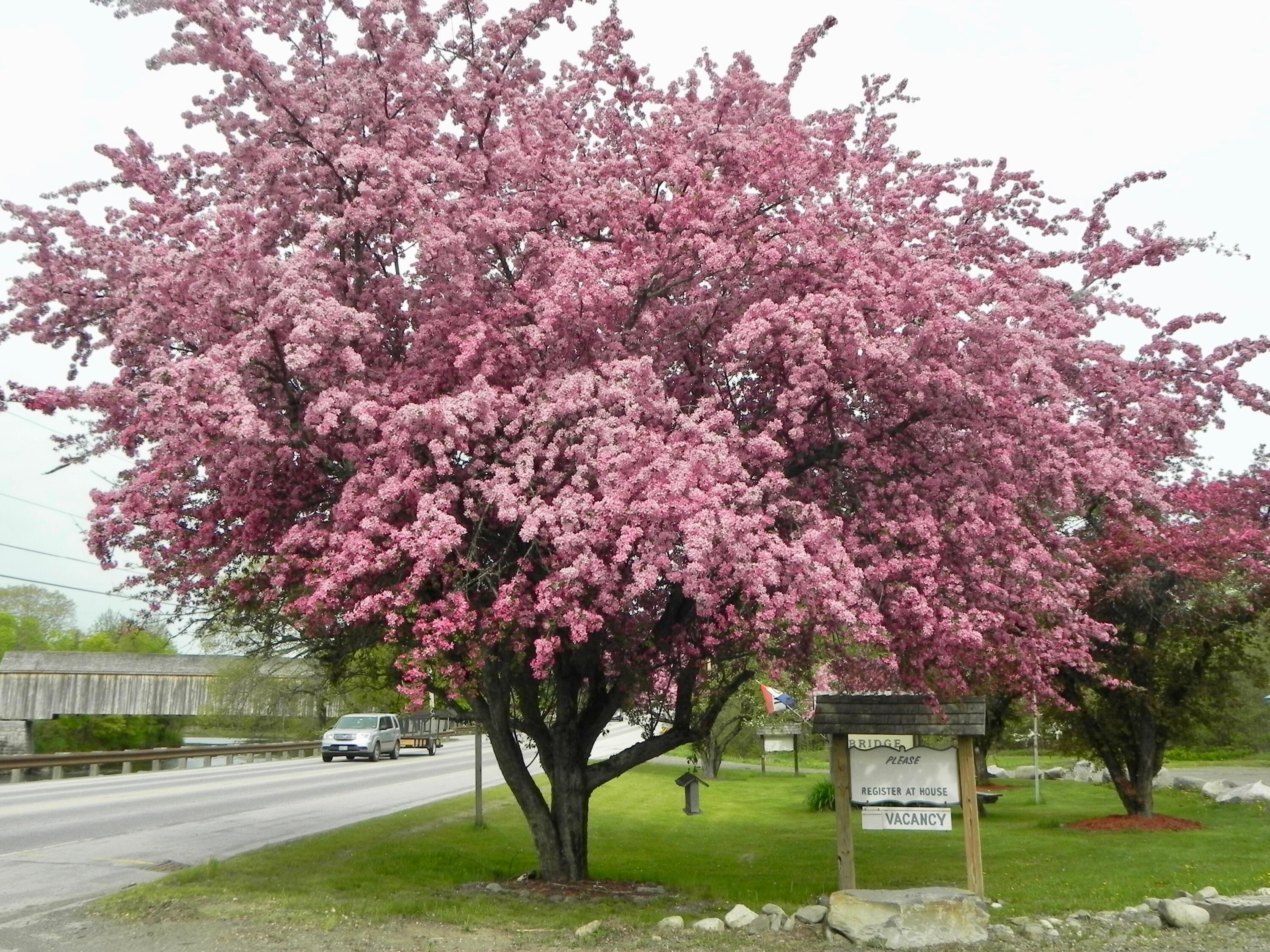 382 Water Street Guilford ME 04443