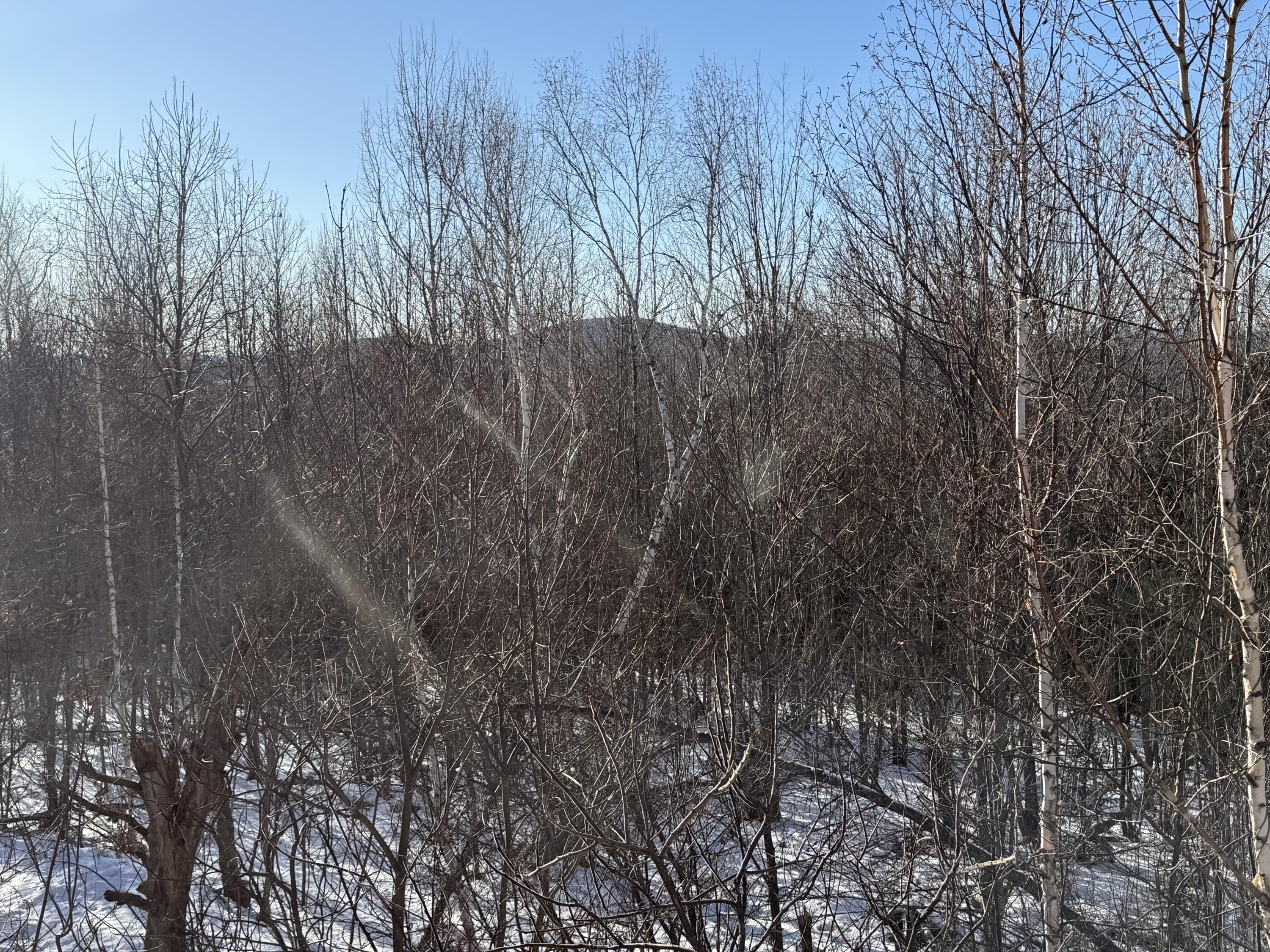 40 Caldwell Lane Chesterville ME 04938