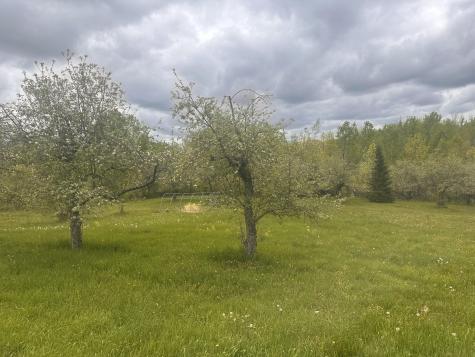 187 Purkis Road Buckfield ME 04220