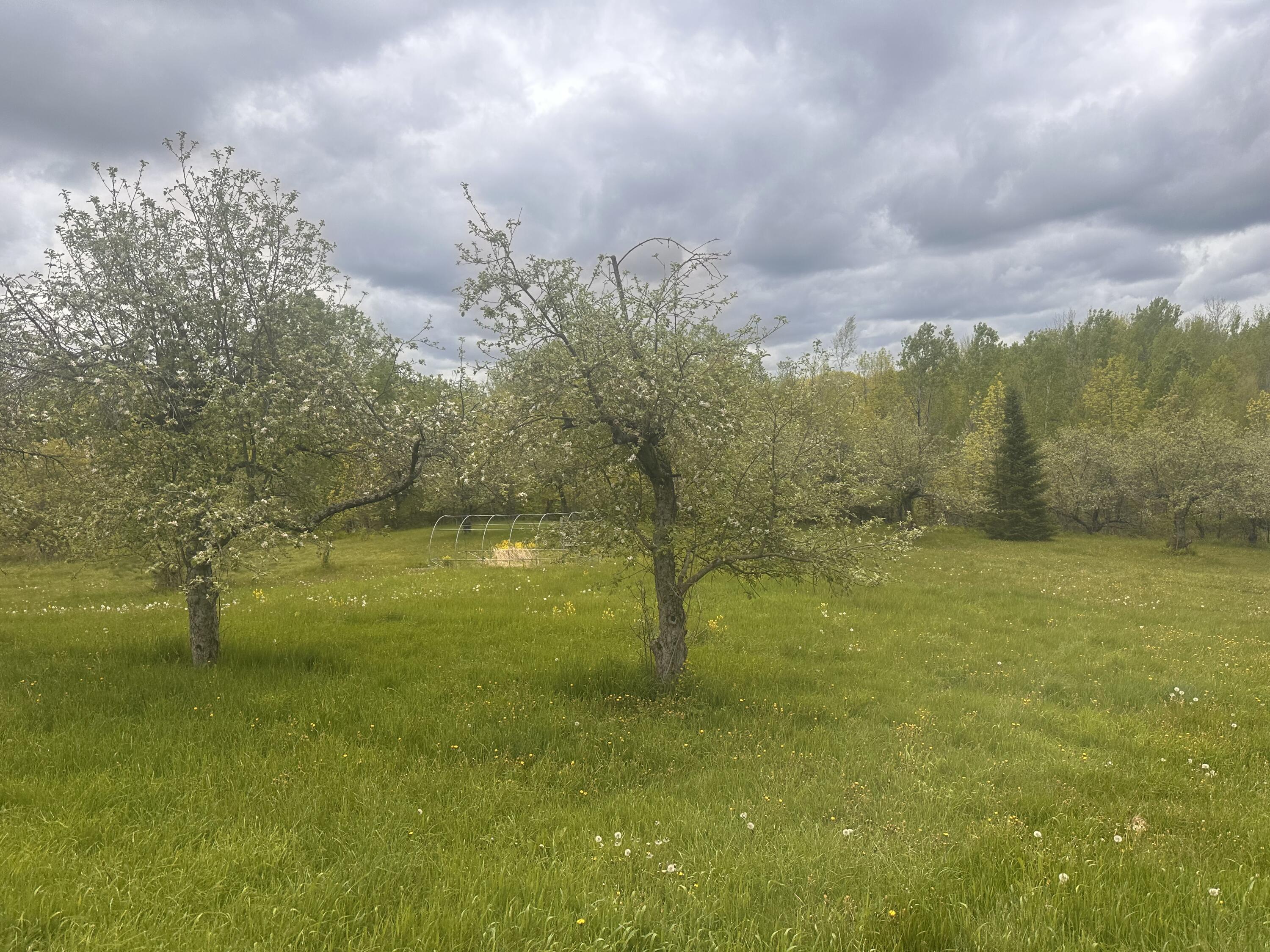 187 Purkis Road Buckfield ME 04220
