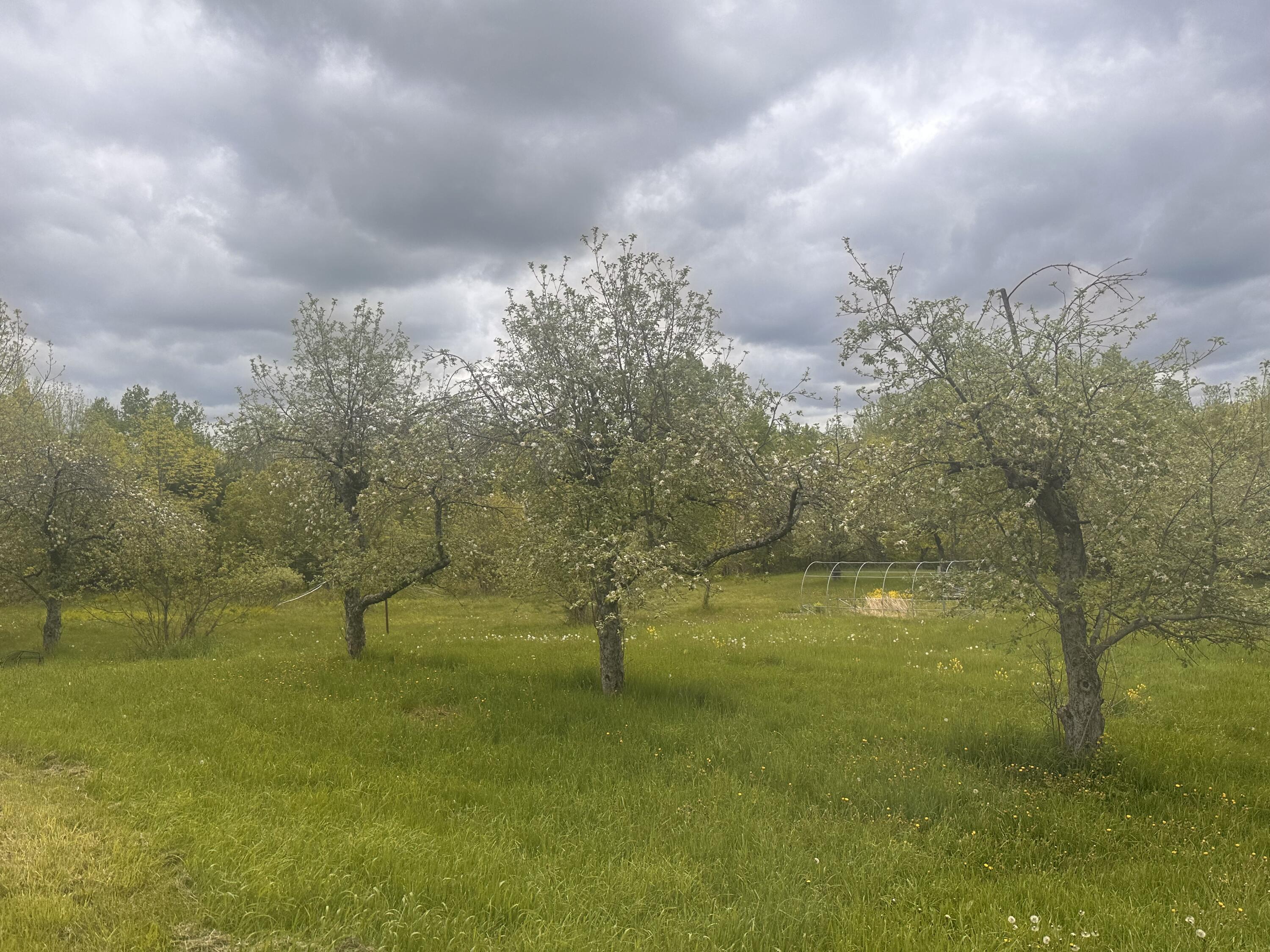187 Purkis Road Buckfield ME 04220