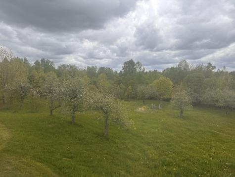 187 Purkis Road Buckfield ME 04220