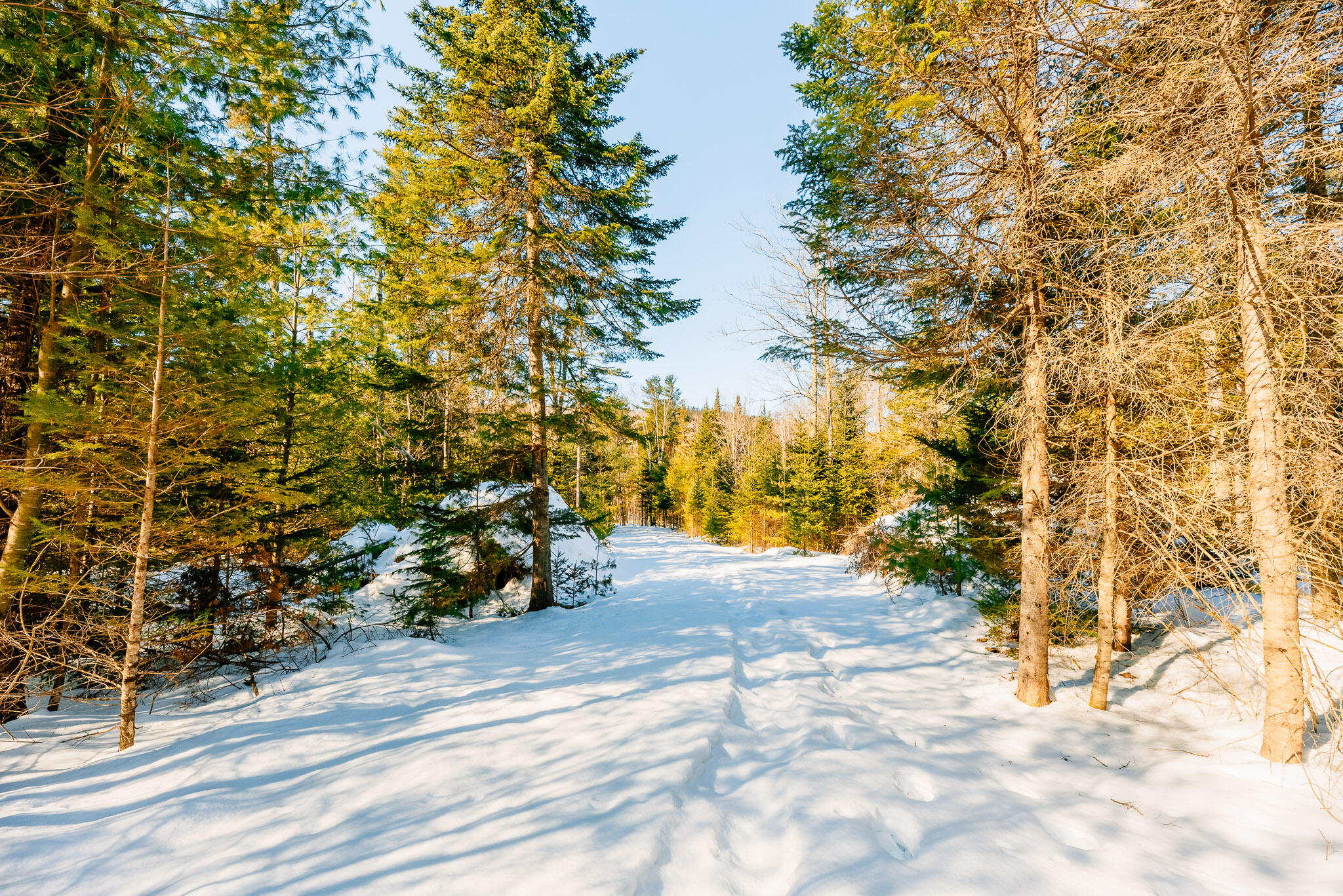 280 Iron Bridge Road Kingfield ME 04947