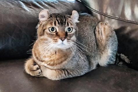 91 Elm Street Mechanic Falls ME 04256