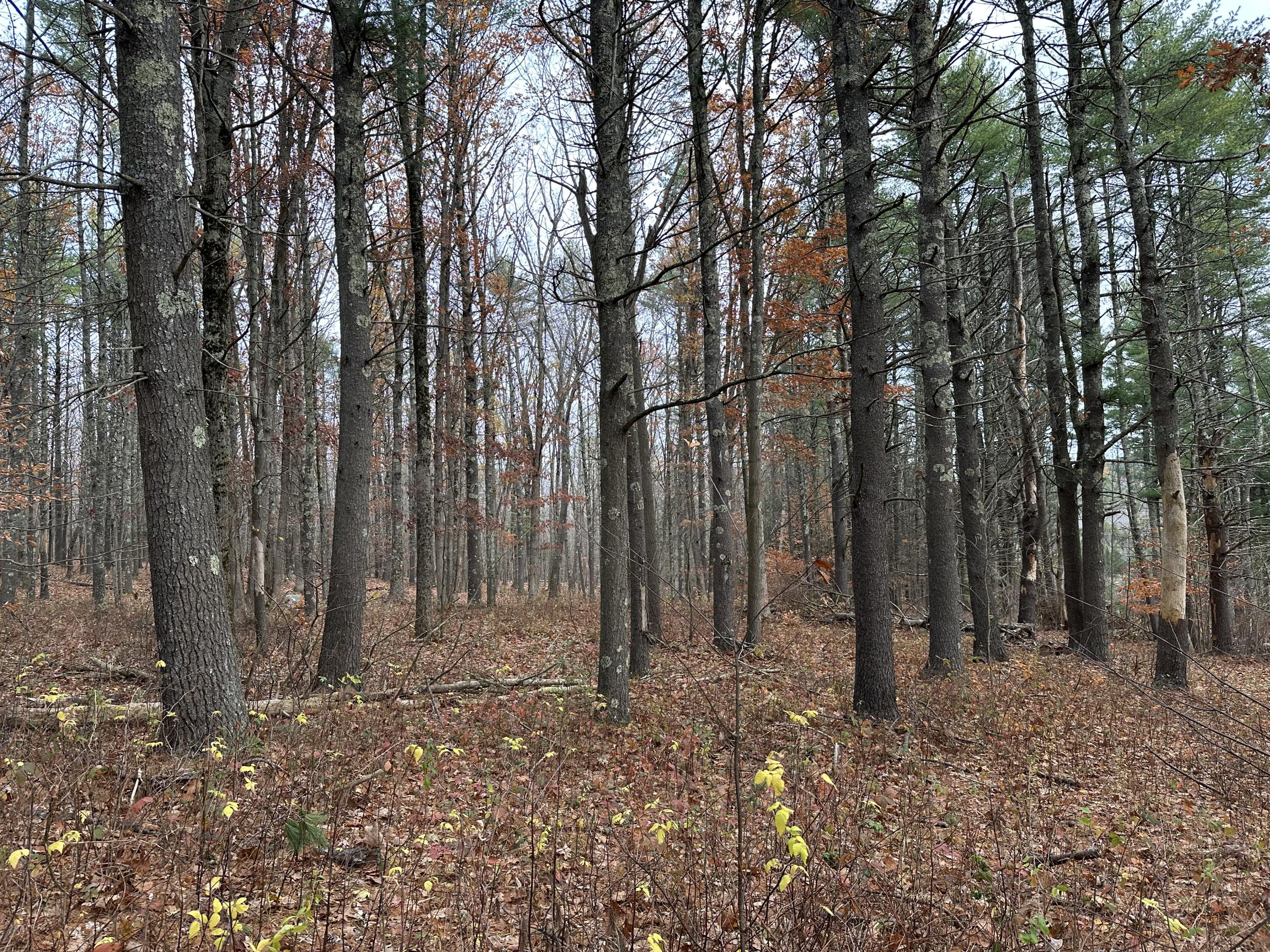 180 Highland Cliff Road Windham ME 04062