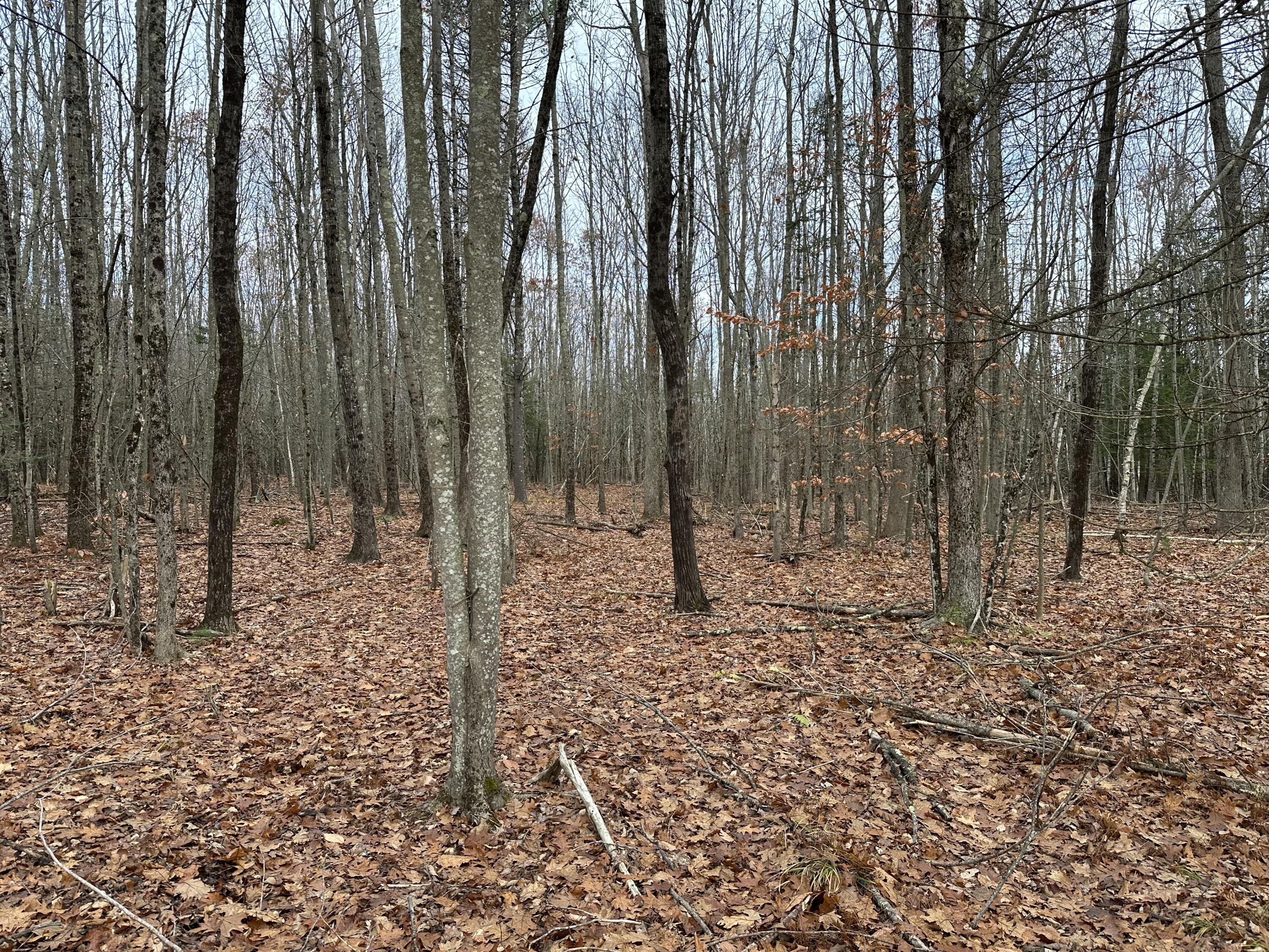 180 Highland Cliff Road Windham ME 04062