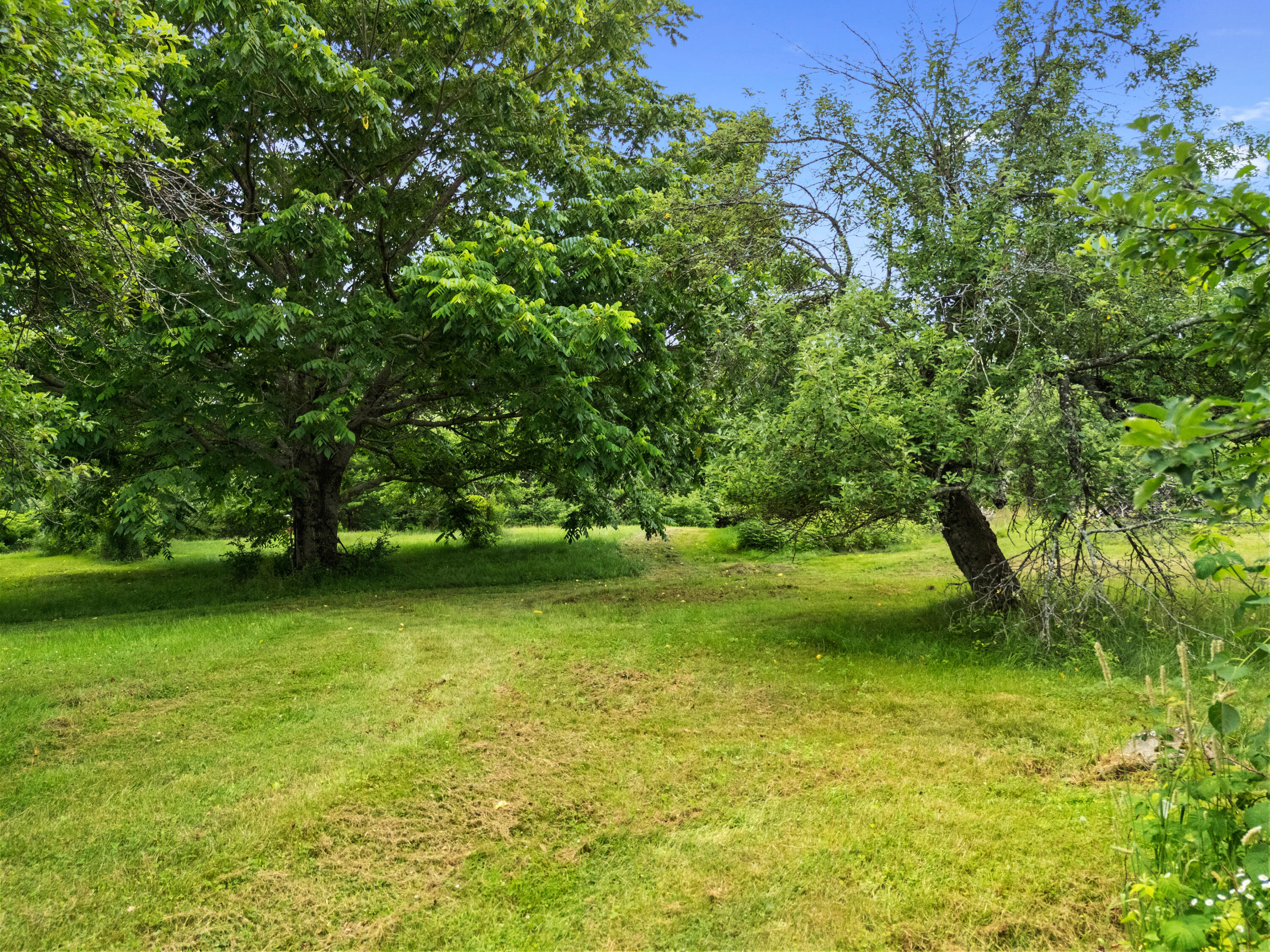 549 Litchfield Road Bowdoin ME 04287