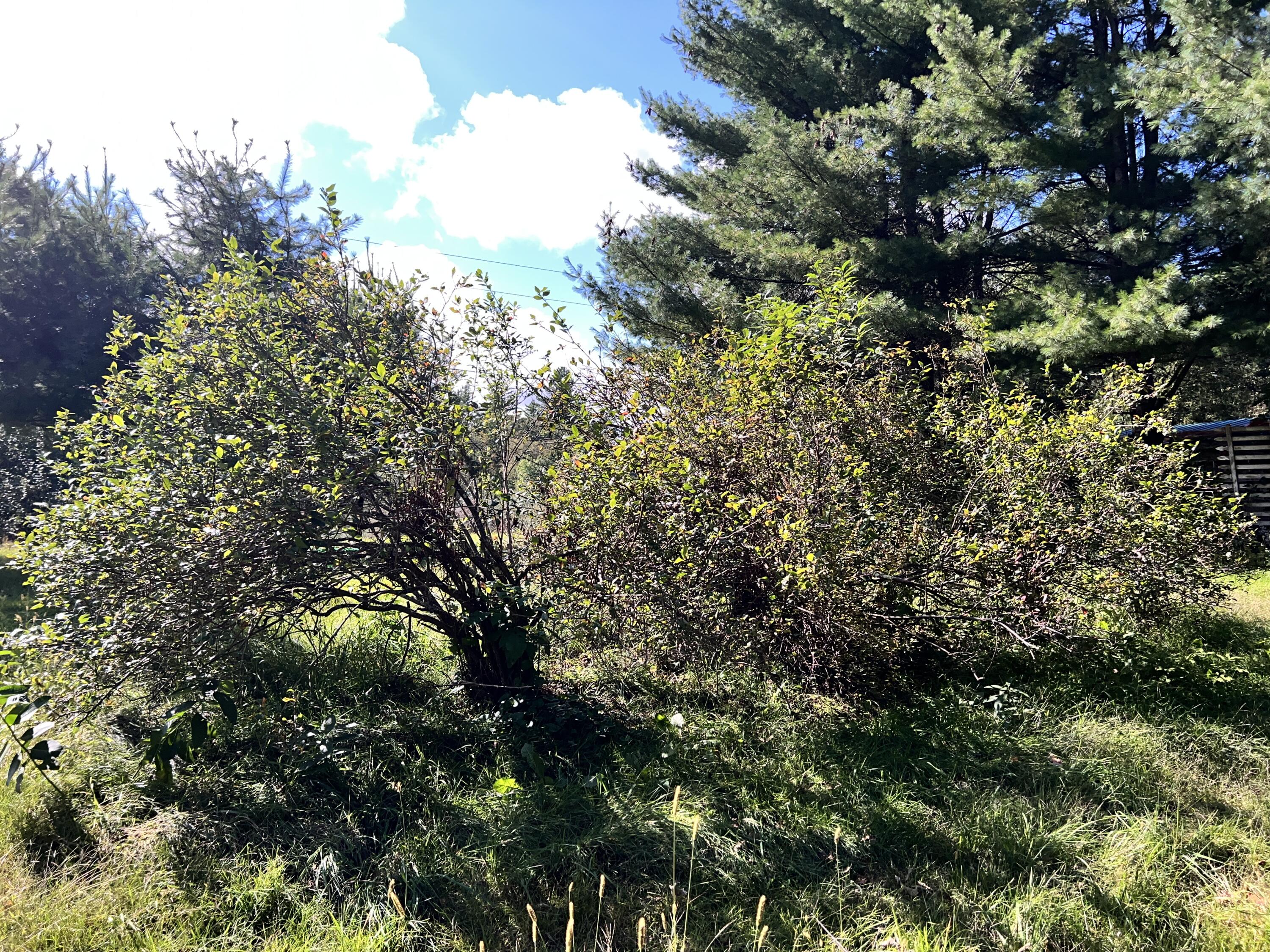 463 Intervale Road Temple ME 04984