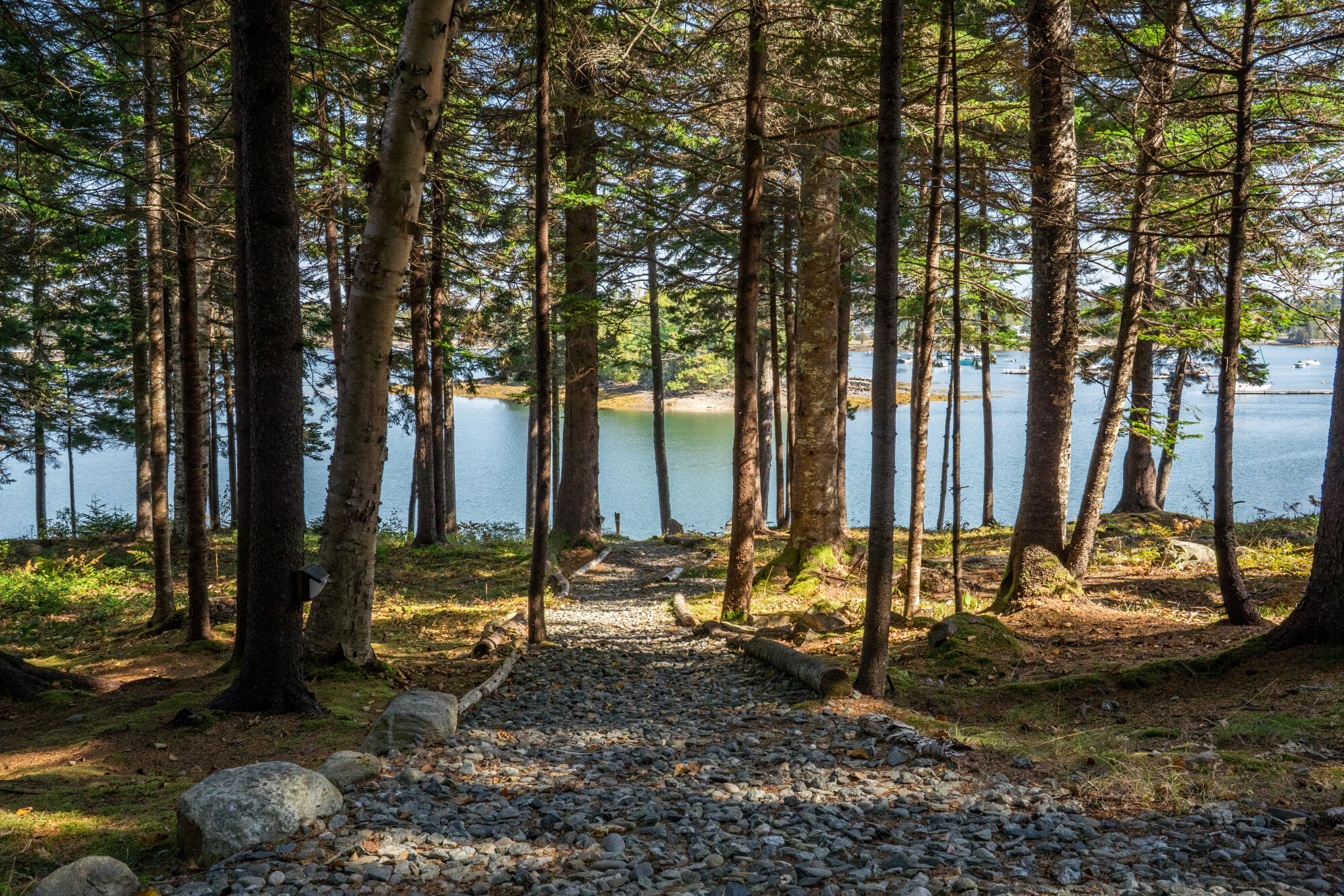 17 Bayberry Lane Tremont ME 04612