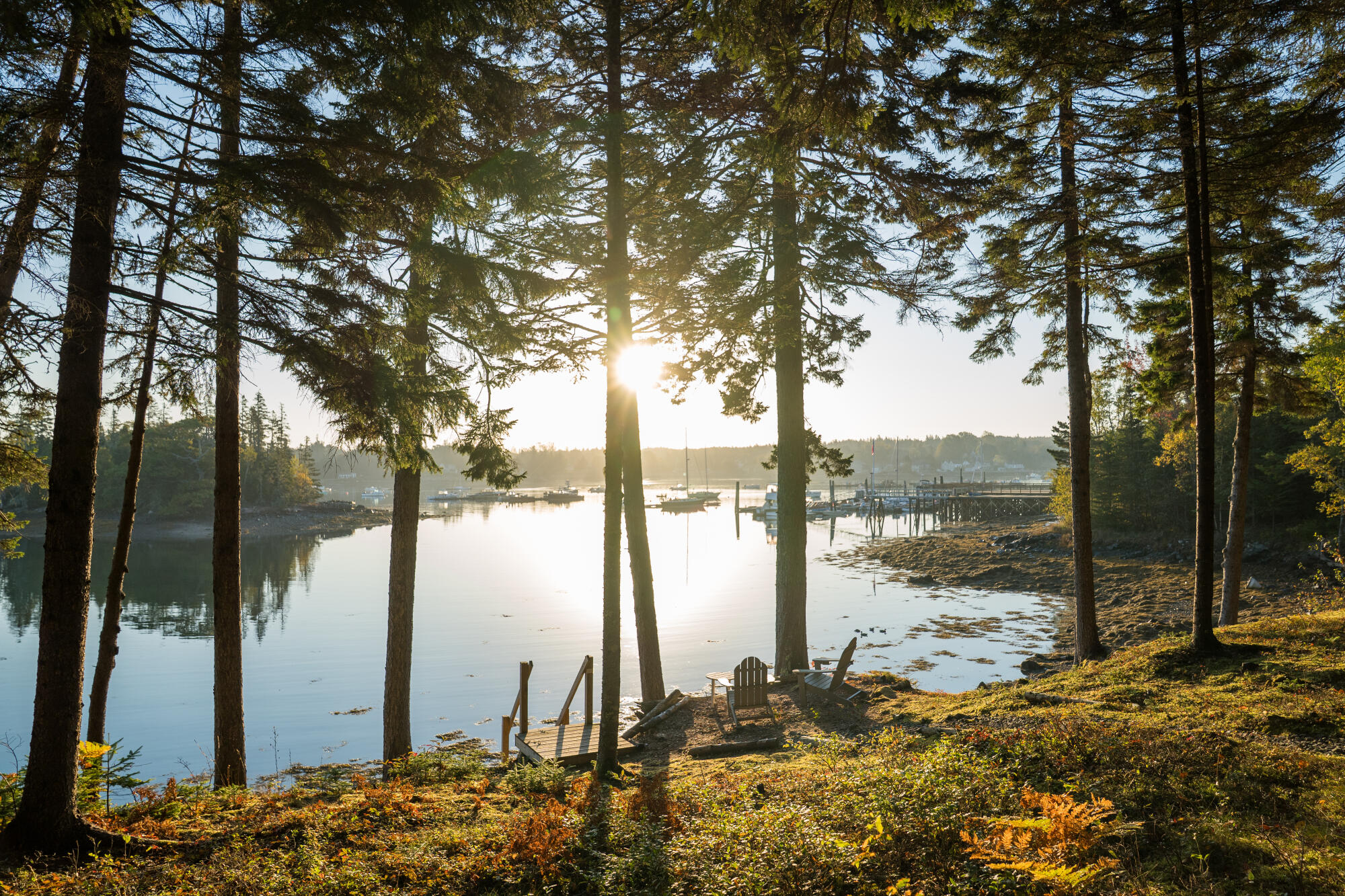 17 Bayberry Lane Tremont ME 04612