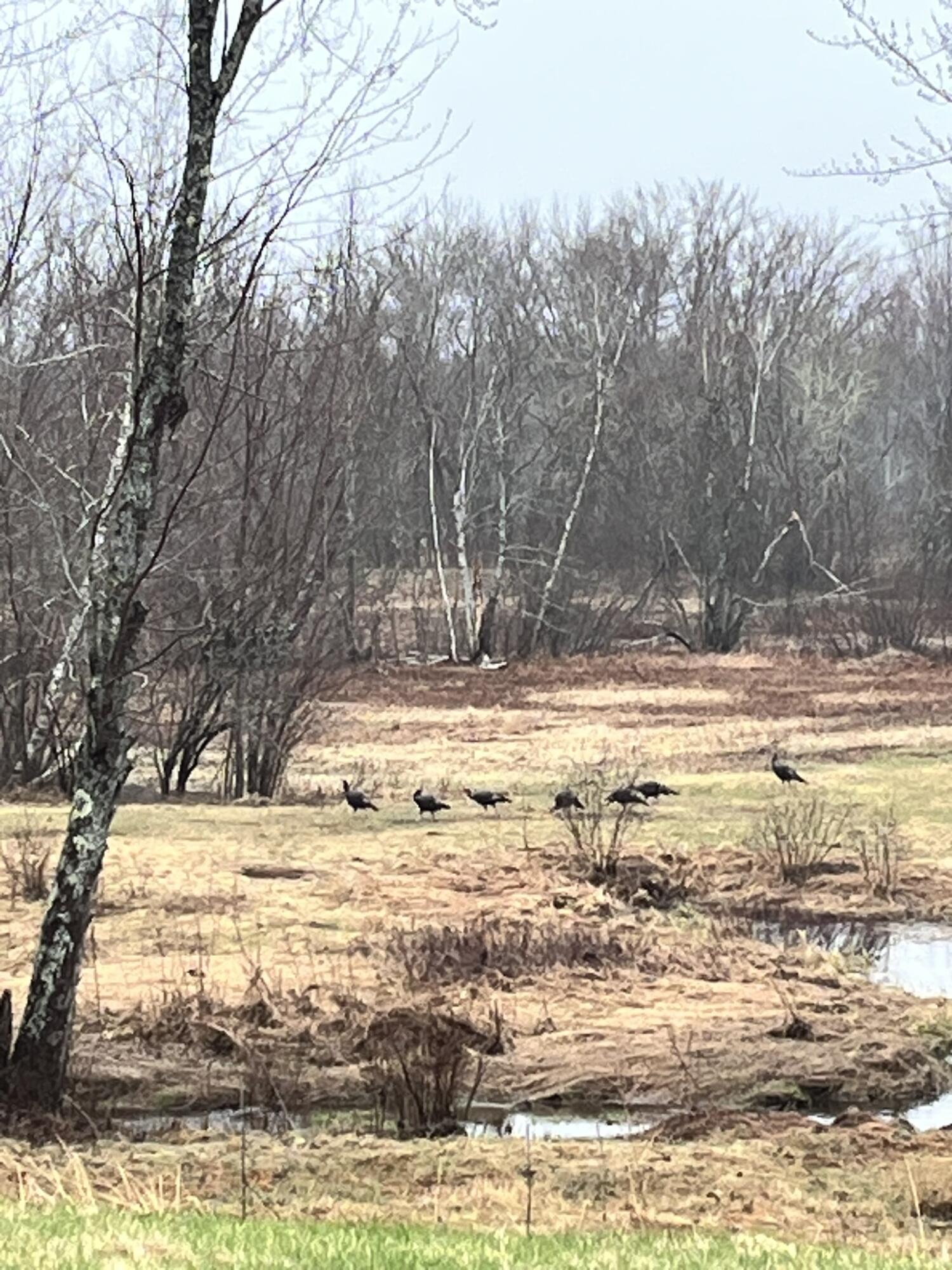 474 N Howland Road Howland ME 04448