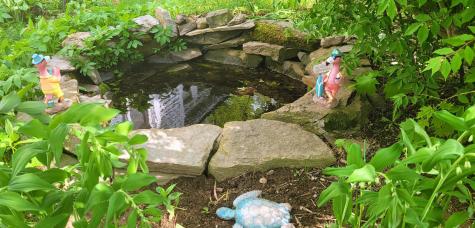 8 Edes Avenue Dover-foxcroft ME 04426