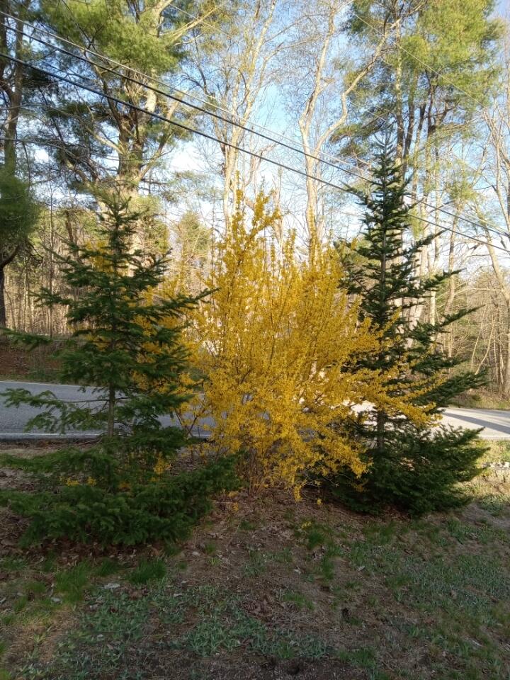 497 Back Road Shapleigh ME 04076