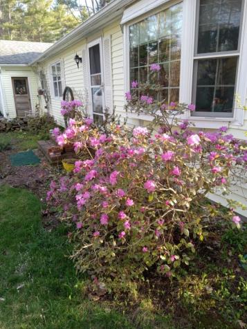 497 Back Road Shapleigh ME 04076