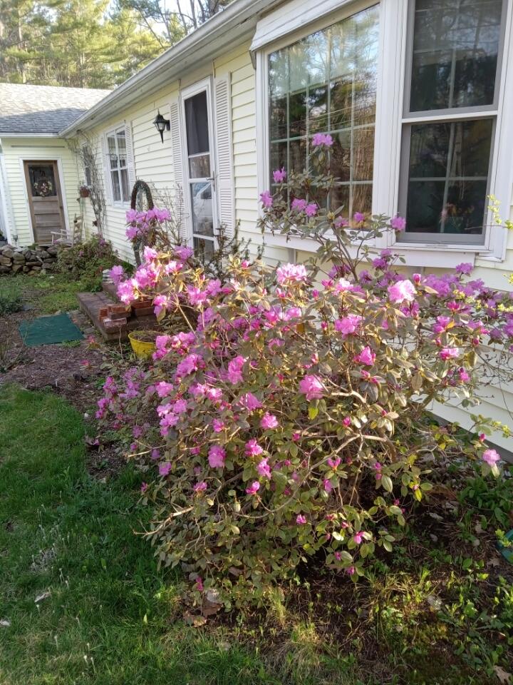 497 Back Road Shapleigh ME 04076