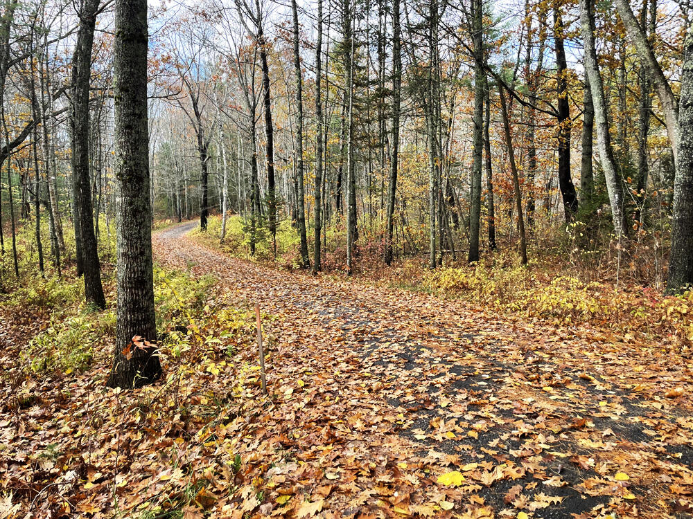 16 Townley Drive Damariscotta ME 04543