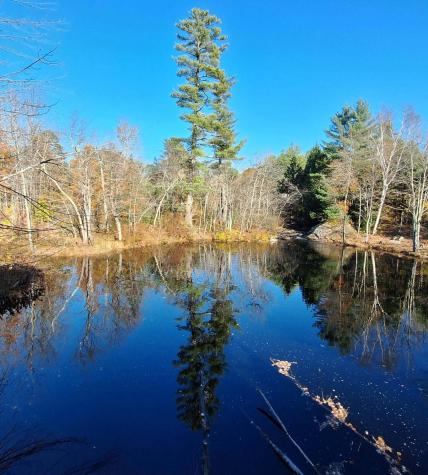 14 Butterfield Road Sumner ME 04292