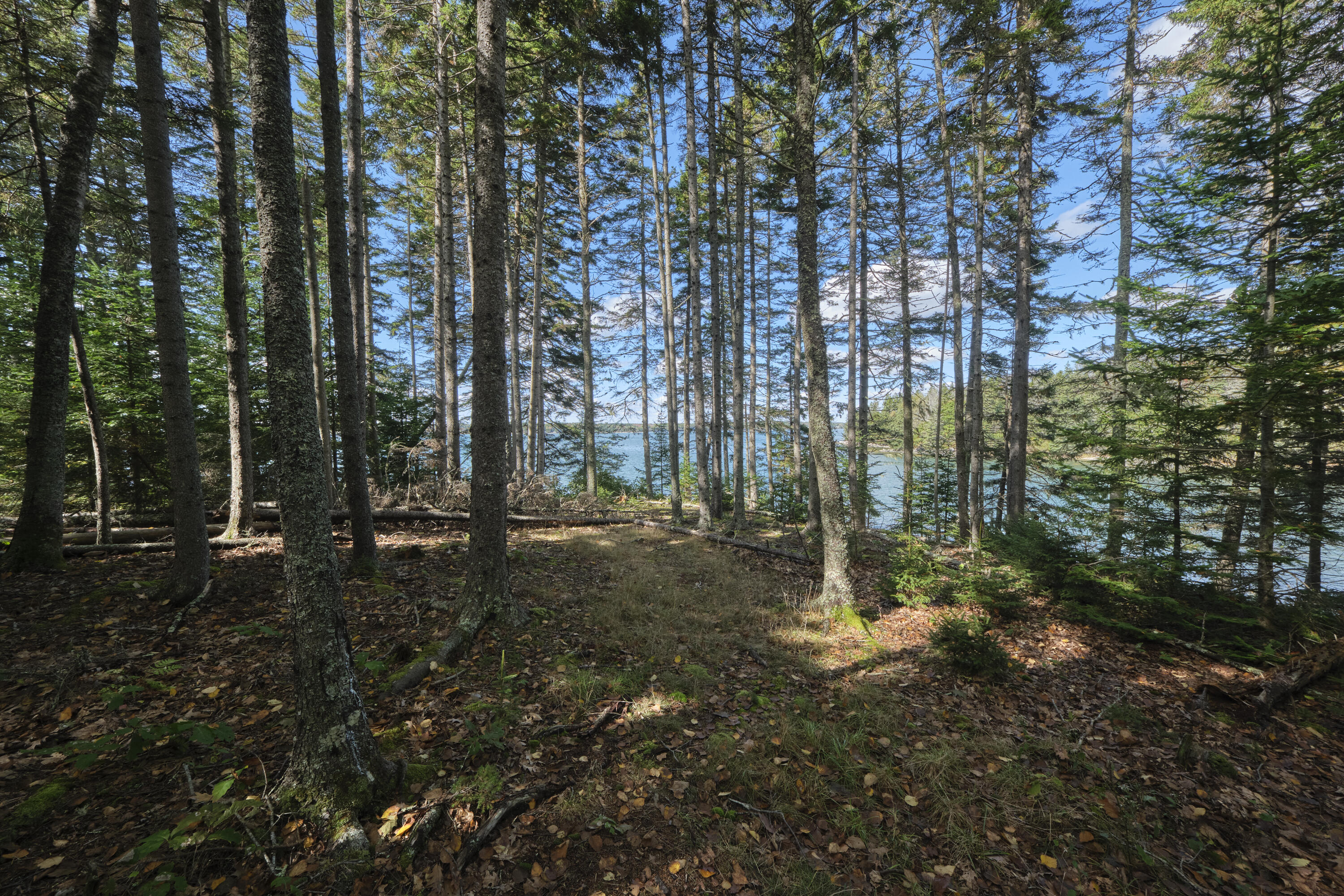 422 Wallston Road Saint George ME 04860