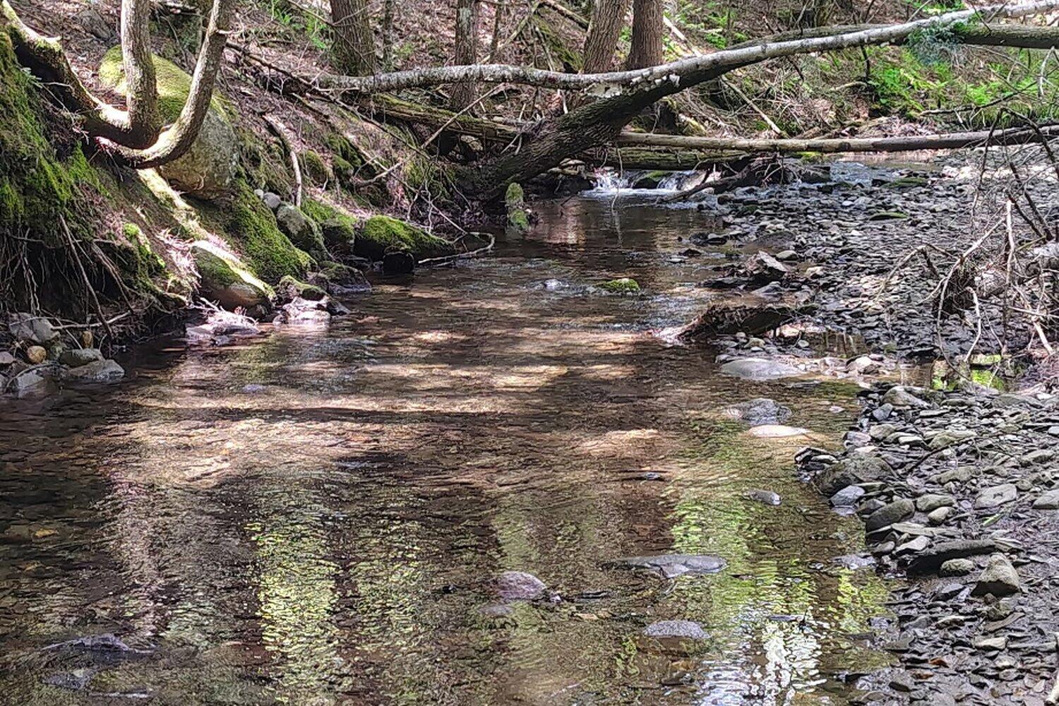 463 Clover Mill Road Farmington ME 04938