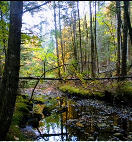 463 Clover Mill Road Farmington ME 04938