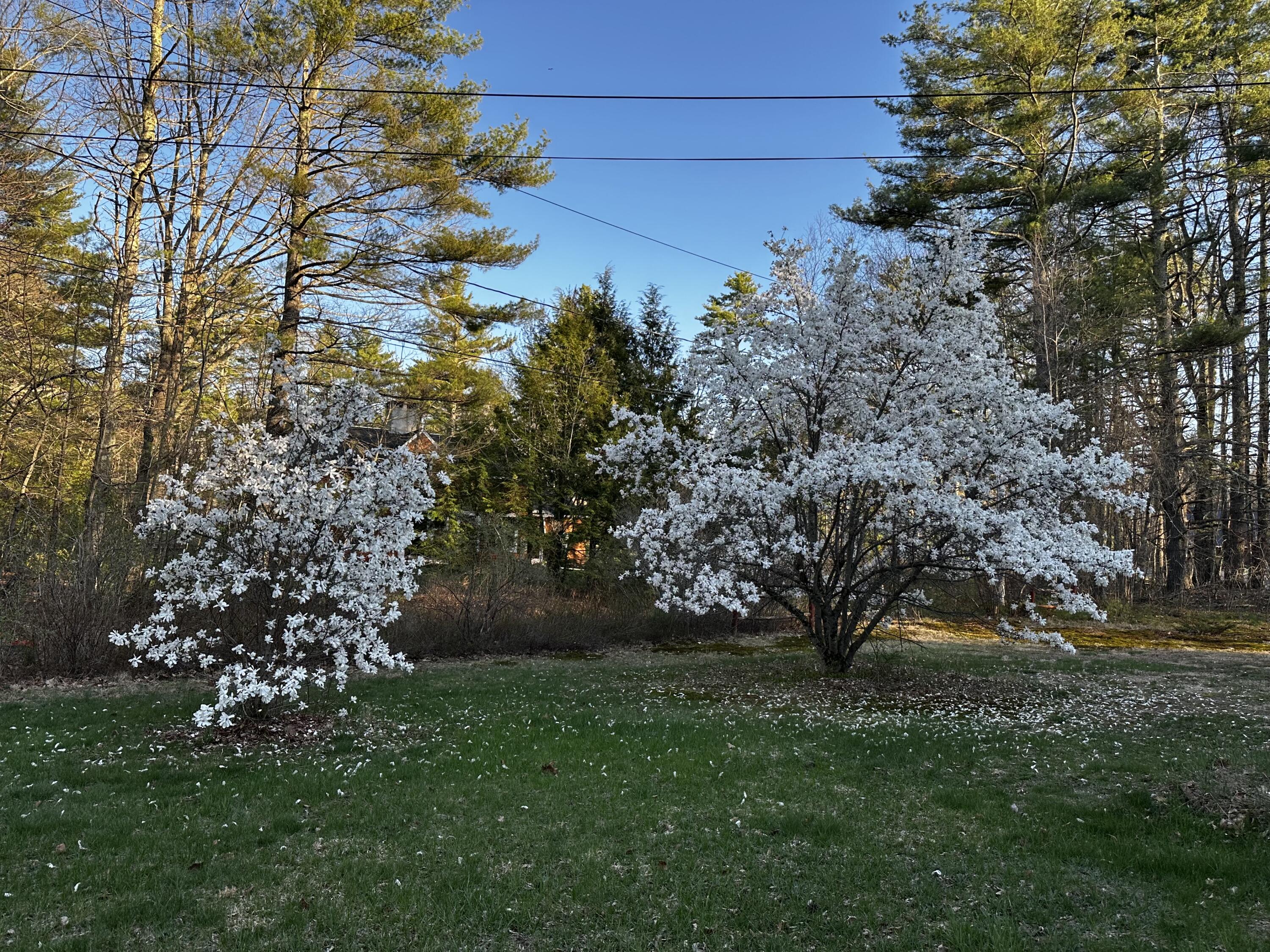 9 Hammond Road Kennebunk ME 04043