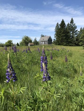 336 Sunset Crossroad Road Deer Isle ME 04627