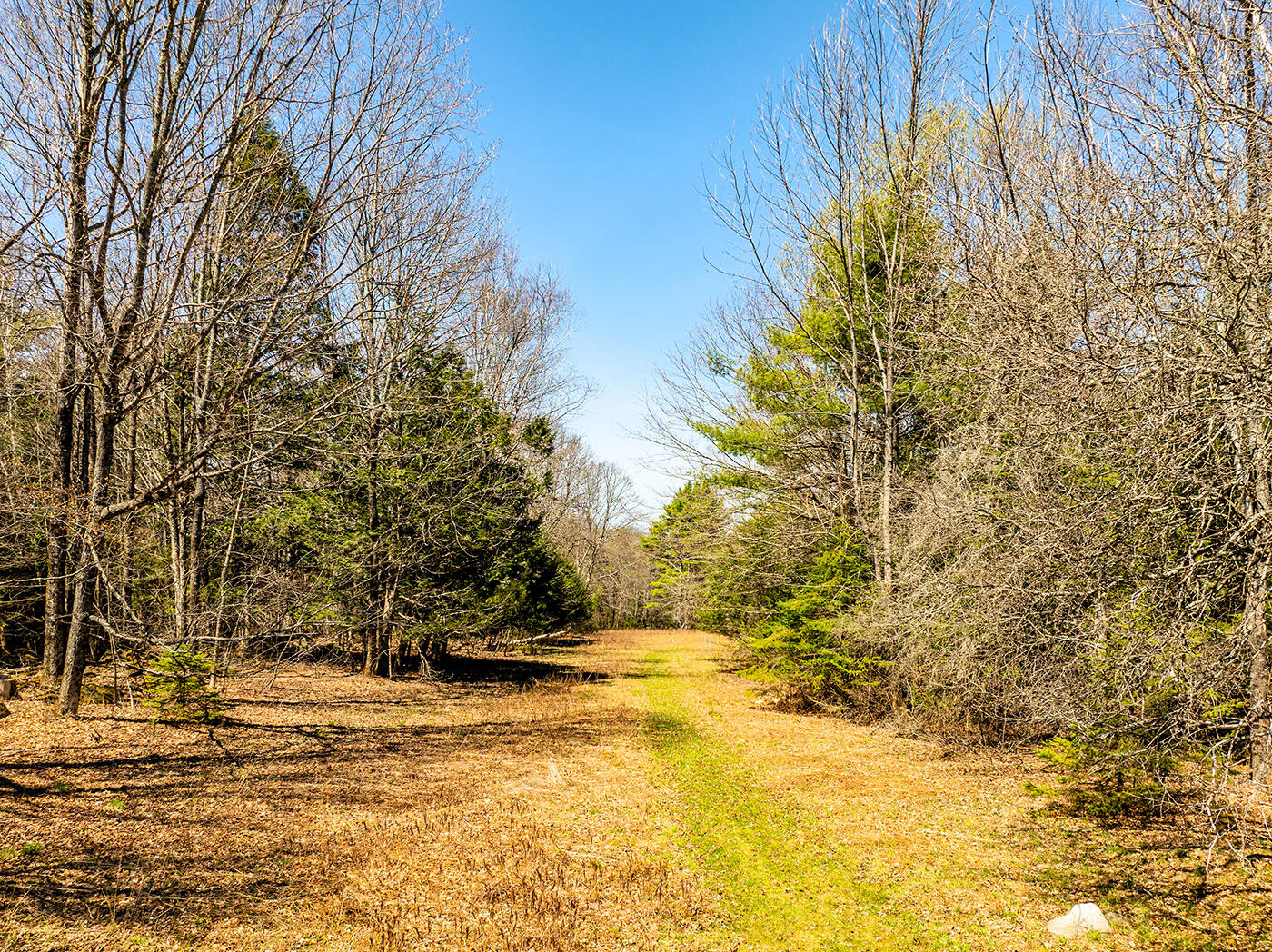 500 Goosepecker Ridge Road Montville ME 04941