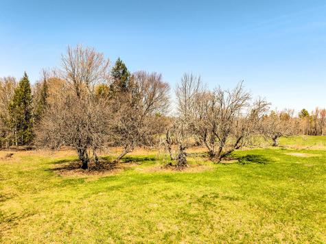 500 Goosepecker Ridge Road Montville ME 04941