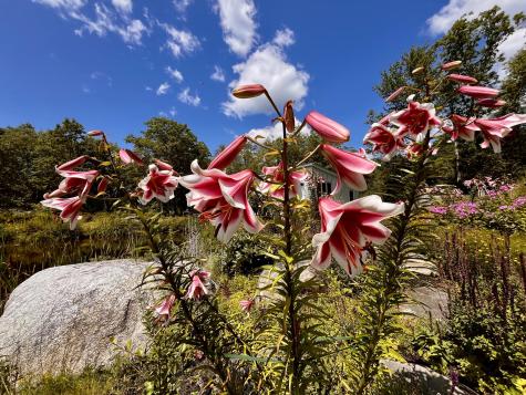 359 Lower Round Pond Road Bristol ME 04539