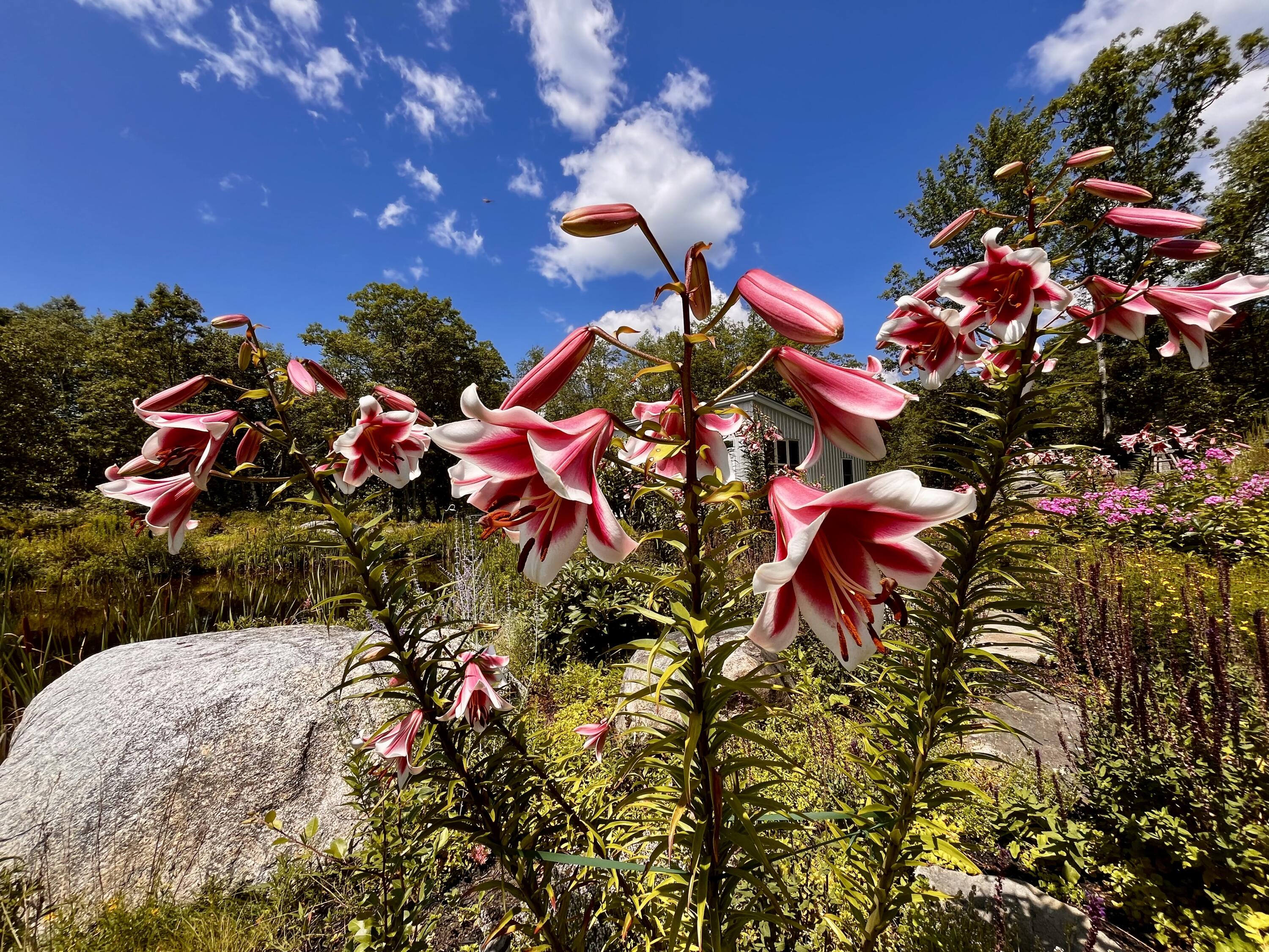 359 Lower Round Pond Road Bristol ME 04539