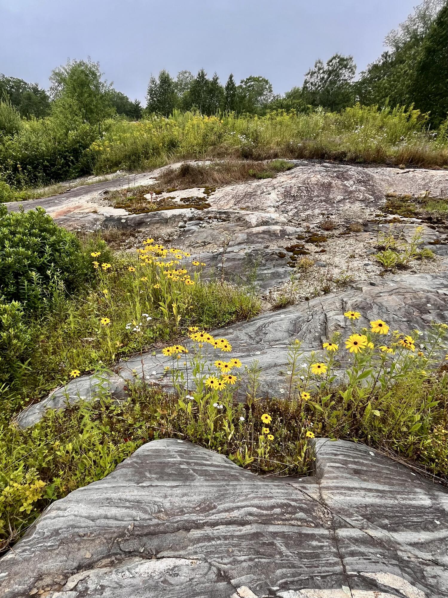 359 Lower Round Pond Road Bristol ME 04539