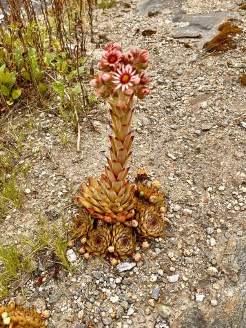 359 Lower Round Pond Road Bristol ME 04539