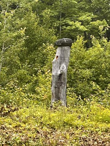 359 Lower Round Pond Road Bristol ME 04539