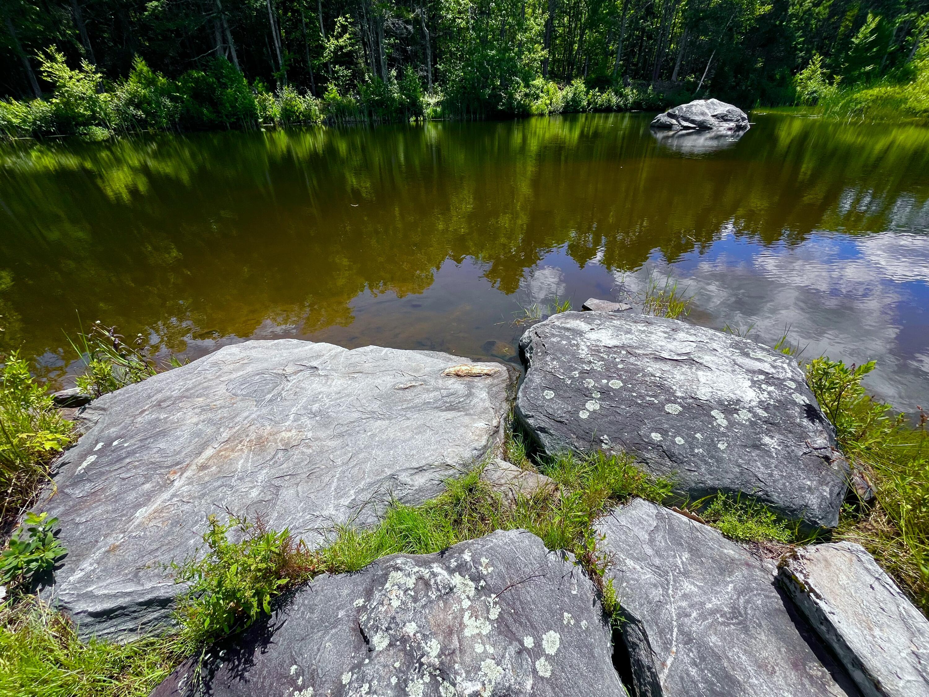 359 Lower Round Pond Road Bristol ME 04539