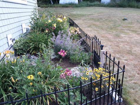 63 Raccoon Cushing ME 04563