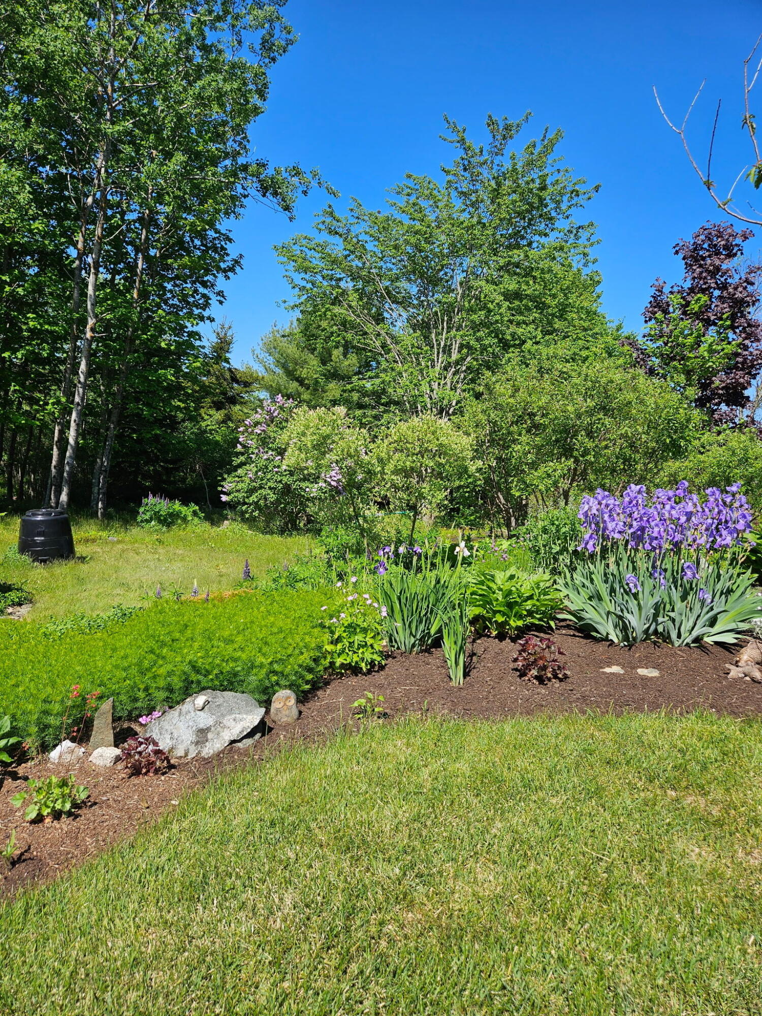 63 Raccoon Cushing ME 04563