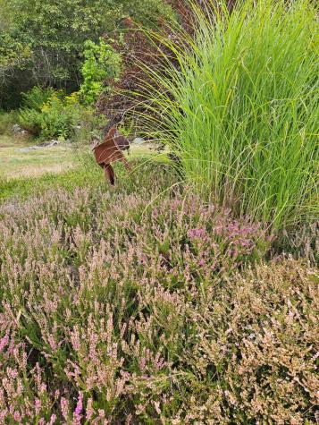 63 Raccoon Cushing ME 04563