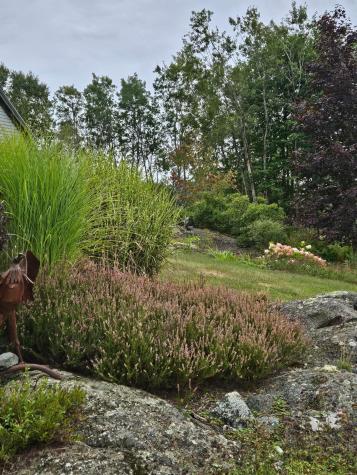 63 Raccoon Cushing ME 04563