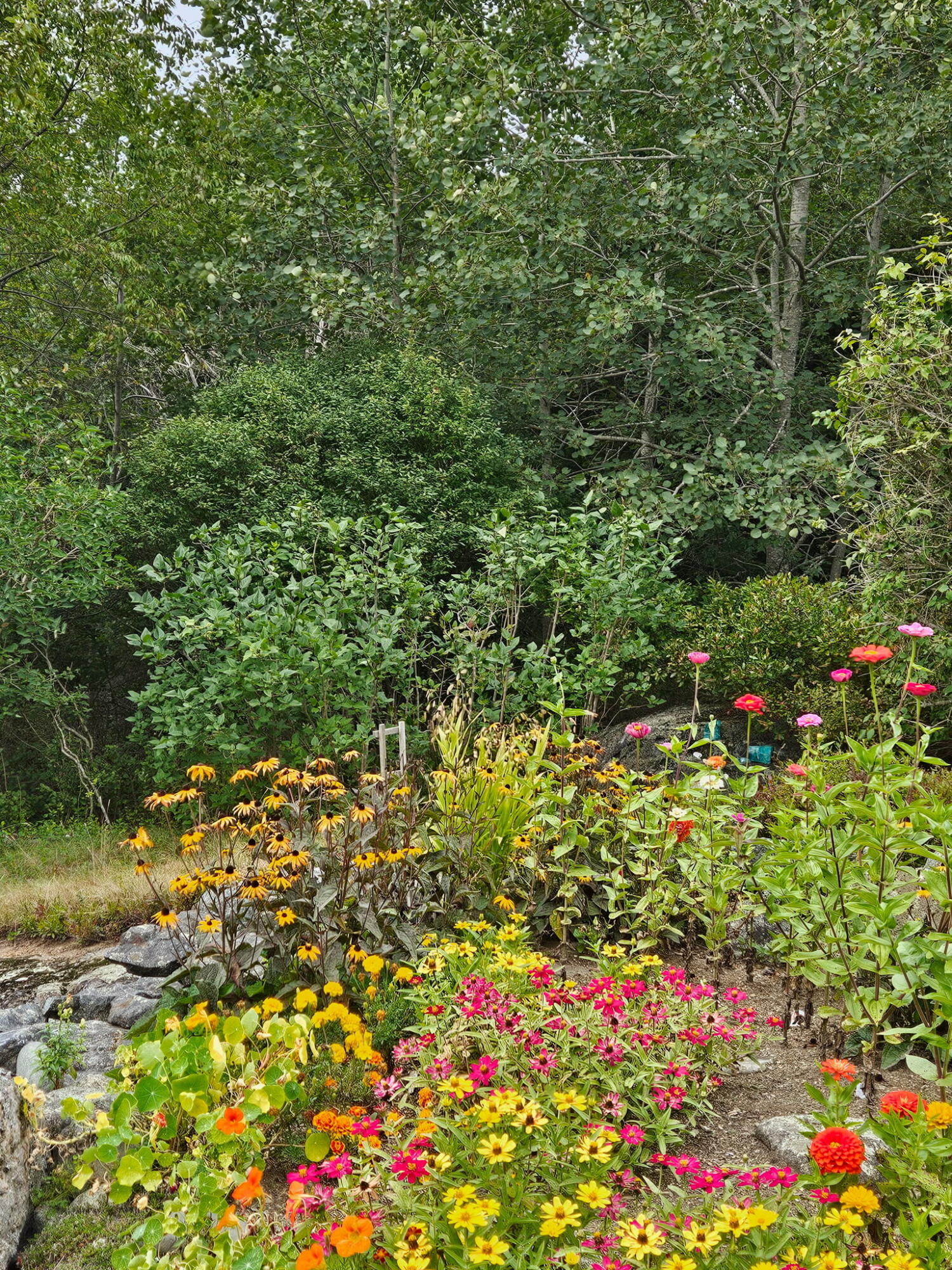 63 Raccoon Cushing ME 04563