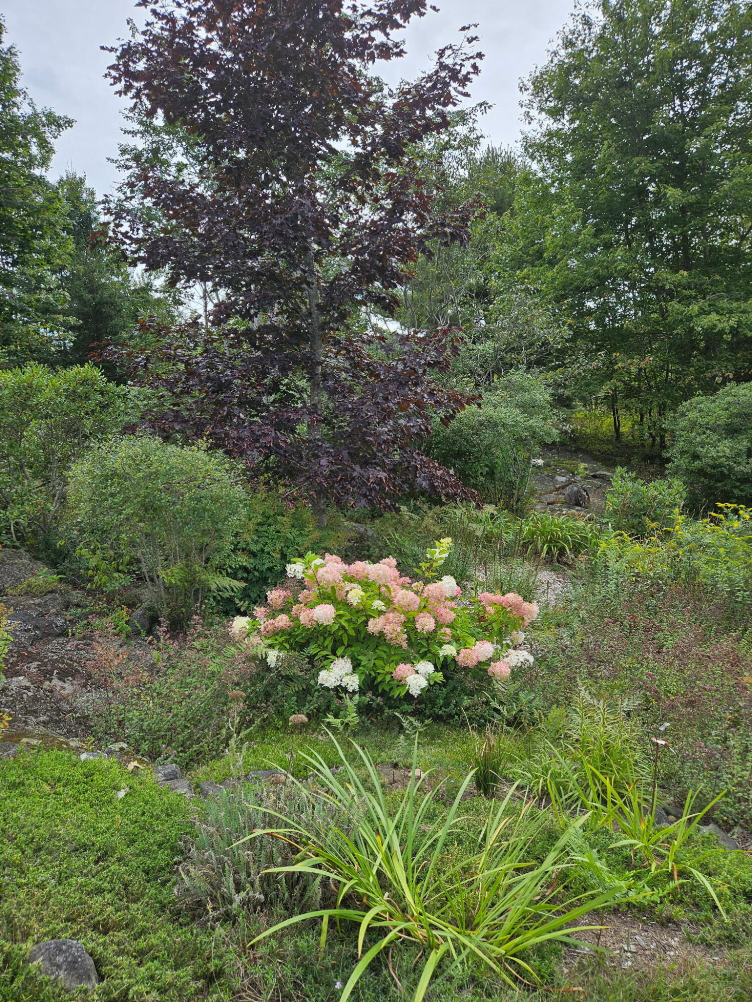 63 Raccoon Cushing ME 04563