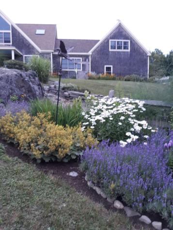 63 Raccoon Cushing ME 04563