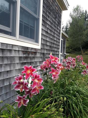 63 Raccoon Cushing ME 04563