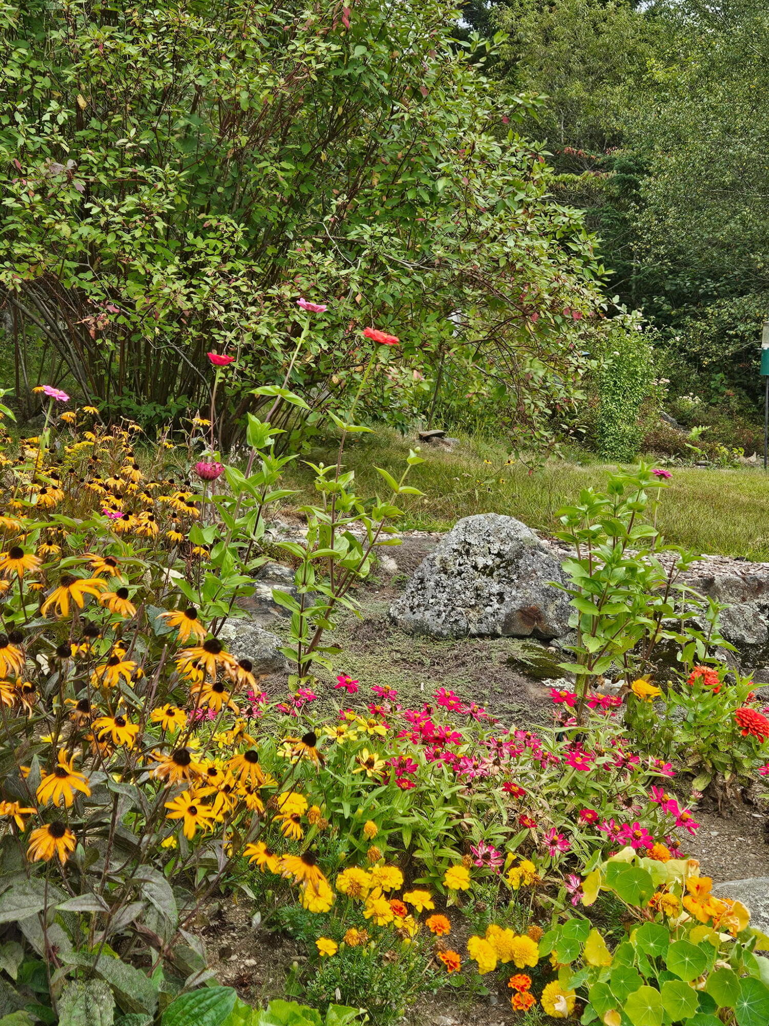 63 Raccoon Cushing ME 04563