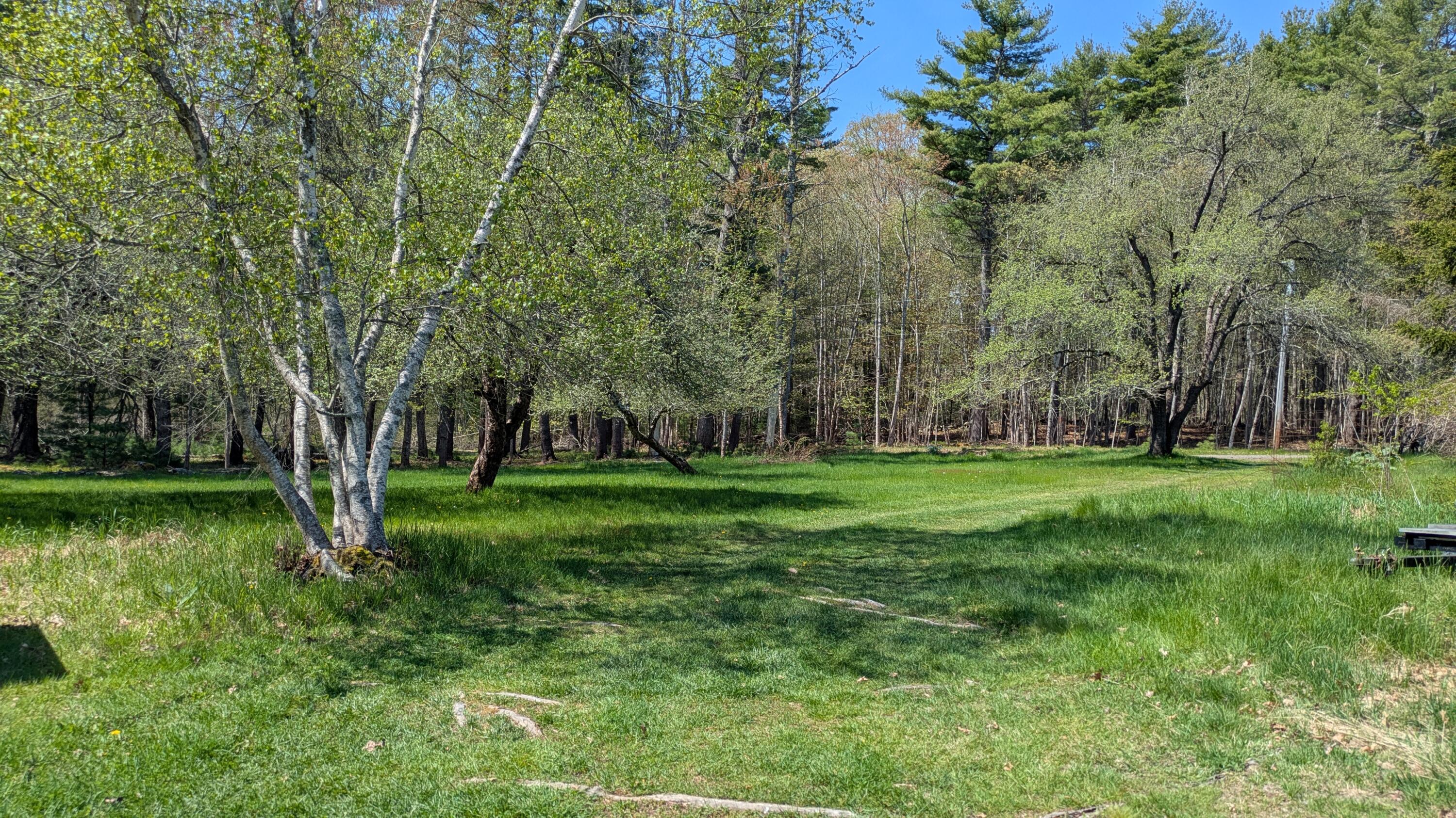 43 Flying Point Road Georgetown ME 04548