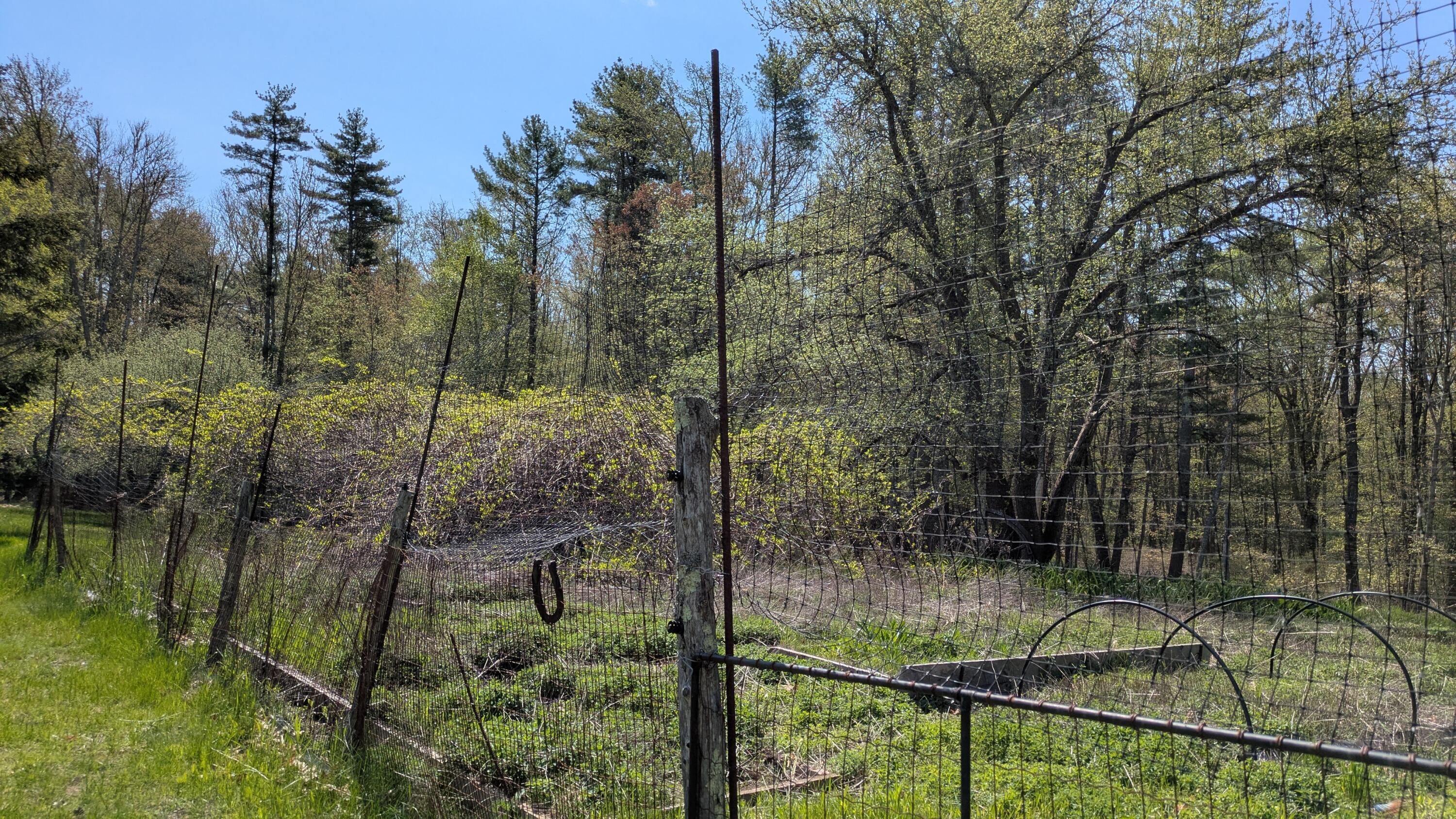 43 Flying Point Road Georgetown ME 04548