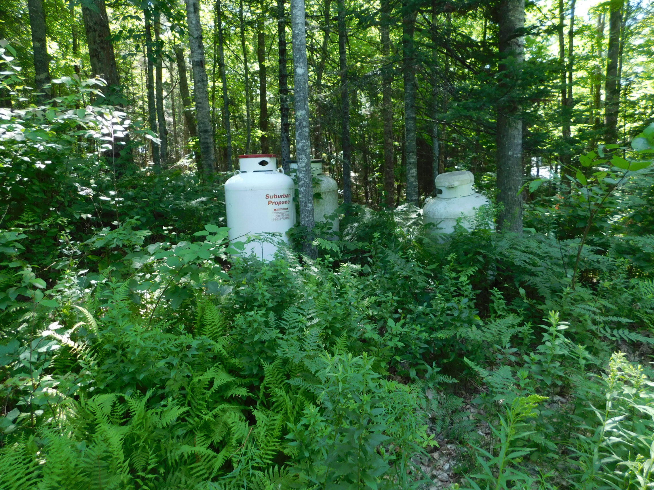 6 Locust Drive Embden ME 04958