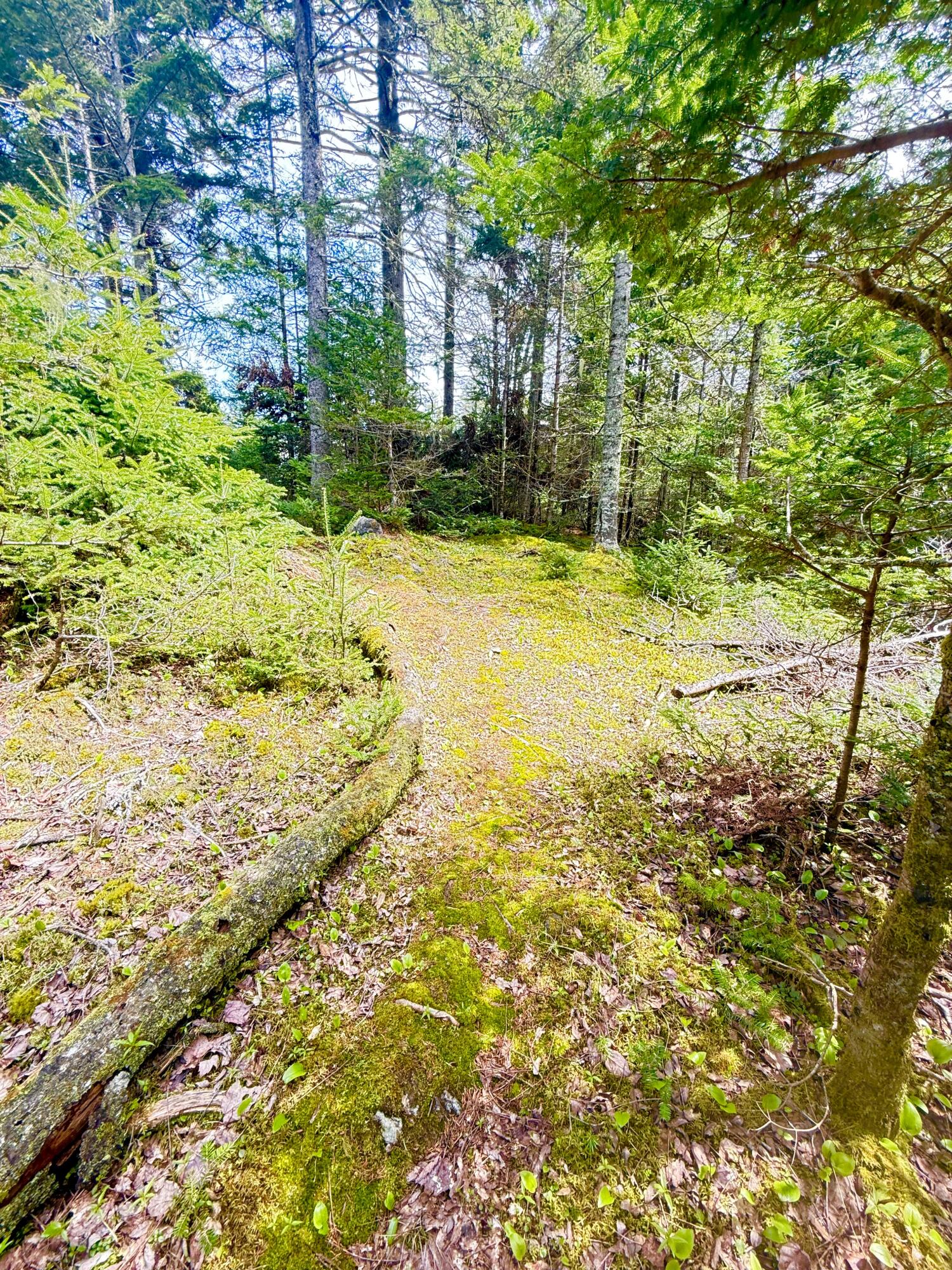 8 Berry Lane Vinalhaven ME 04863