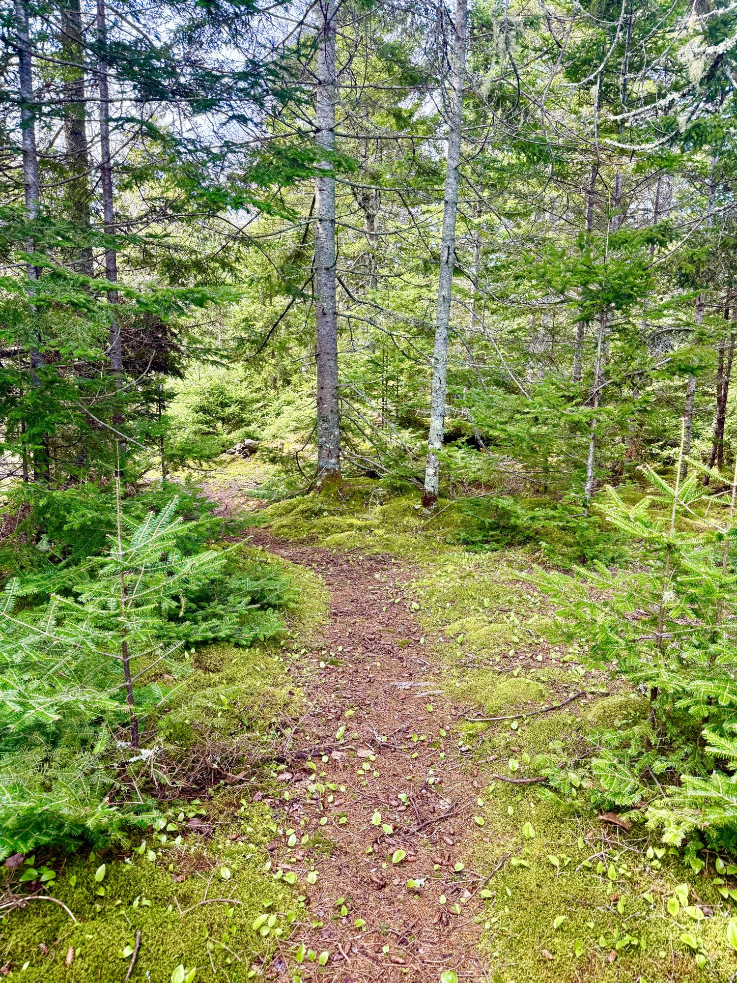 8 Berry Lane Vinalhaven ME 04863